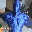 hdf.jpg Archivo 3D Busto Spiderman - Fácil de imprimir, sin soportes.・Modelo para descargar e imprimir en 3D