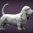basset-hound4.jpg basset hound 3D print model