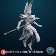 dark-magician.png Magicien noir