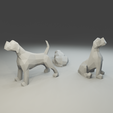 5.png Low polygon Giant Schnauzer 3D print model  in three poses