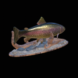 pstruh-klacky-1-6.png rainbow trout 2.0 underwater statue detailed texture for 3d printing