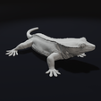 Look2.png Crested Gecko Lizard Pet