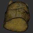 23.jpg Puppy of Pomeranian dog head for 3D printing