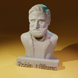 robin-williams-render-wesoły.png Robin Williams Bust