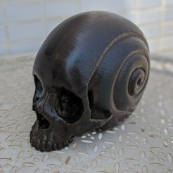 IMG_20190823_121940_326.jpg Файл STL Snail Shell Skull - HI REZ・Дизайн для загрузки и 3D-печати