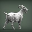 Goat14.jpg Goat 3D print model