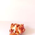 WhatsApp-Image-2023-03-02-at-9.18.57-AM-4.jpeg Archivo STL Nice Flying Pig・Modelo para descargar e imprimir en 3D