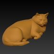 2026-03-24-13-49-57.jpg Gato obeso ou rechonchudo