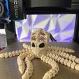 IMG_6845.jpg Octopus Skeleton Articulated Flexi Toy