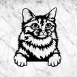 jnkjk.jpg somali CAT WALL DECOR WALL DECOR MURAL MASCOTA CAT DECO WALL HOUSE PET
