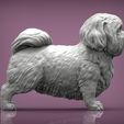British-Shih-Tzu5.jpg British Shih Tzu 3D print model