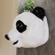 planter-2.png panda head wall mount planter pot flower vase stl 3d print file