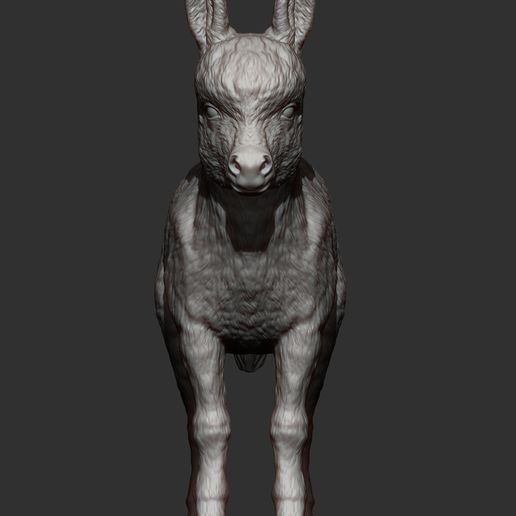 Donkey-baby9.jpg Modelo de impresión 3D de bebé burro