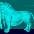 6d32a9264269ee573e3726b225aca788_display_large.jpg Lion, king of the animals