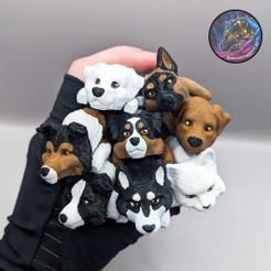 393114553_921409396072925_5830679897067738150_n.jpg Baby Dog and Cat Flexi Keychains (Set of 8.)