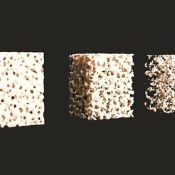 Bone_Tissue.jpg Файл 3D Структура костной ткани・Шаблон для загрузки и 3D-печати