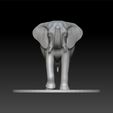 ELLLLF2.jpg Elephant
