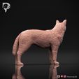 Australian-Cattle-Dog-Pose-02-Dog-3D-Print-3s.jpeg Australian Cattle Dog 3D Print Model Pose 02