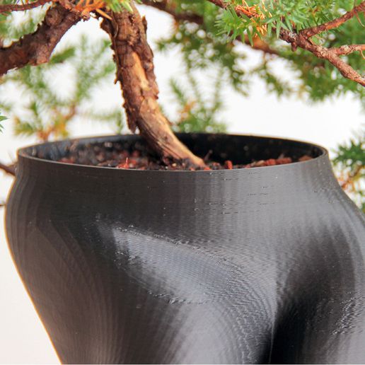 B.jpg Bonsai Planter