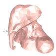 model-6.png Elephant low poly
