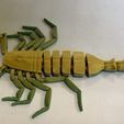 Scorpion articulé