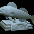 zander-open-mouth-tocenej-26.png fish zander / pikeperch / Sander lucioperca trophy statue detailed texture for 3d printing