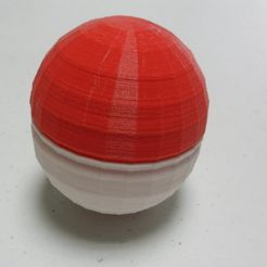 SAM_4198.JPG Free 3D file Ball Case・3D printer model to download