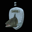 zander-head-trophy.png fish head trophy zander / pikeperch / Sander lucioperca open mouth statue detailed texture for 3d printing