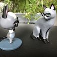 IMG_5738.jpg Realistische Raymond-Katze - Animal Crossing