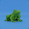 0006.png Frog stylized