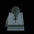 Catfish-statue-15.png fish wels catfish / Silurus glanis statue detailed texture for 3d printing