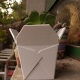img5.jpg Chinese takeout box, succulent PLANTER