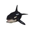 GG0174.jpg ORCA Killer Whale Dolphin FISH sea CREATURE 3D ANIMATED RIGGED MODEL