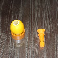 IMG_6707-1.jpg Free STL file Lemon juice spout・3D printable object to download