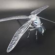 20230506_161739.jpg The Biomechanical Dragonfly