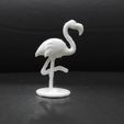 Cod285-Standing-Flamingo-10.jpeg Standing Flamingo