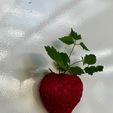IMG_0509.jpg Strawberry Planter