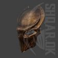 f6.jpg Predator Falconer mask