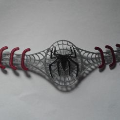 20200724_154526.jpg Spider Verse Ear Saver