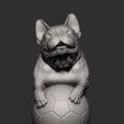 French_Bulldog10.jpg French Bulldog 3D print model