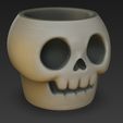 WhatsApp-Image-2025-10-17-at-11.13.59.jpeg skull pot