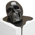 3-d-model-art-scull-3d-model-max-obj-mtl-fbx-stl-wrl-wrz (2).jpg 3D model Art scull 3D print model