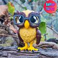 7.jpg CUTE FELXY OWL BIRD FEMALE AND MALE (TWO VERSION)