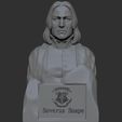 03.jpg Severus Snape 3D print model