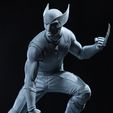 IMG_2333.jpg Wolverine Hugh Jackman