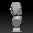 s3.jpg Severus Snape Bust