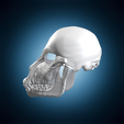 primate-monkey-skull-anatomical-study-sculpture-stl-3d-print-turntable-06-257deg.png Primat Affenschädel Anatomische Studie Skulptur