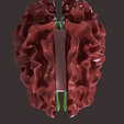 7.png CLUSTER OF NEURAXIS HUMAN BRAIN SEGMENTED