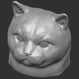 18.jpg British Shorthair cat head for 3D printing