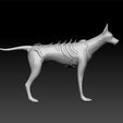 wd2.jpg War Dog 3d model for 3d print - big dog - scary dog